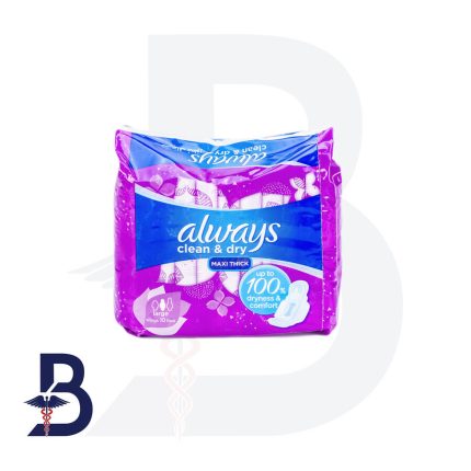 ALWAYS LARGE WITH WINGS 10 PADS VIOLET SUPER